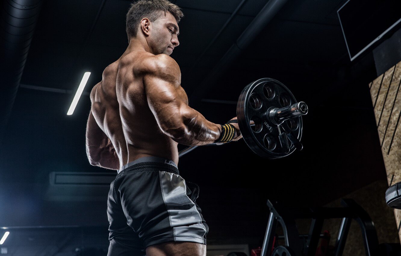 Presentacion - Curl de Biceps